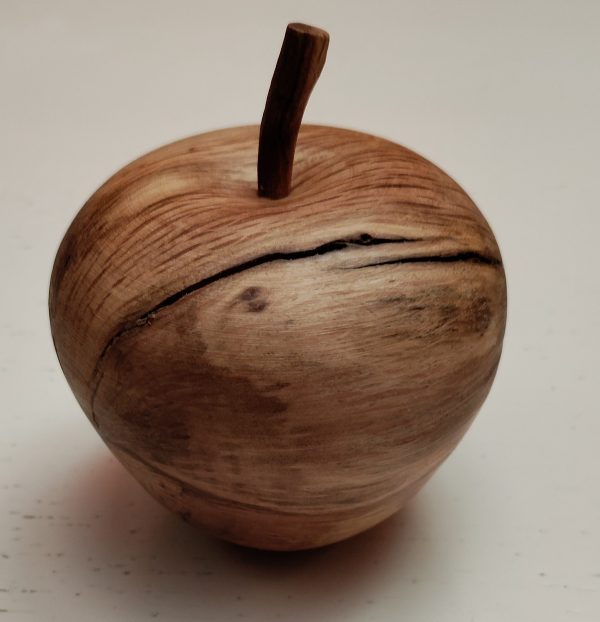 Collection fruits pomme