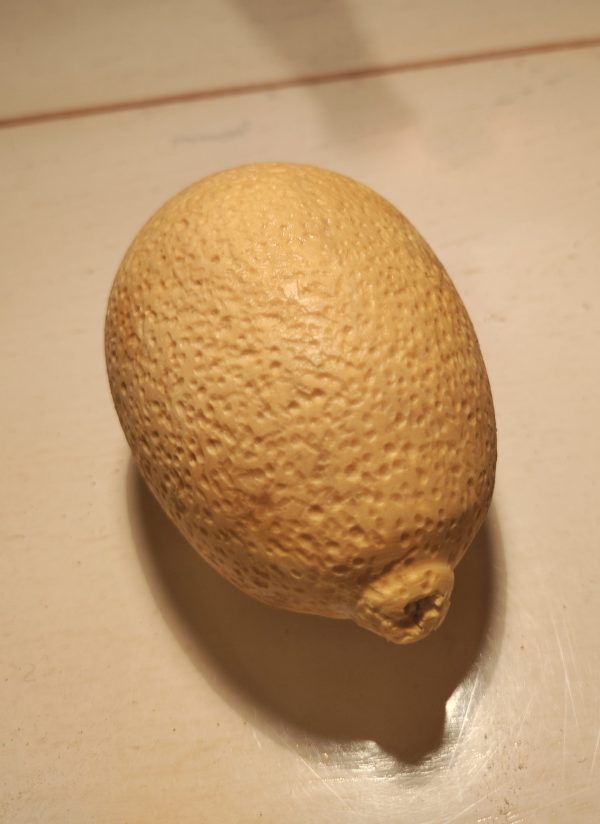 Collection fruits citron