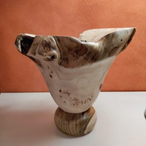 vase platane