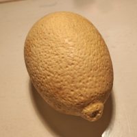 photo non contractuelle