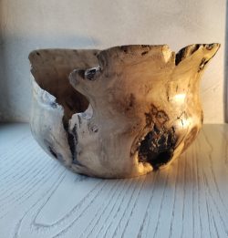 Coupe en trogne de tilleul